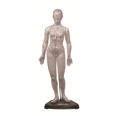 Cuerpo Humano femenino 48 cm. (puntos acupuntura) Tamaño 48 cm Material: goma-latex