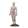 Corpo Humano Feminino 48 cm. (pontos de acupuntura) Tamanho 48 cm Material: borracha-látex