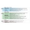 ELECTROESTIMULADOR DE 4 CANALES REHAB