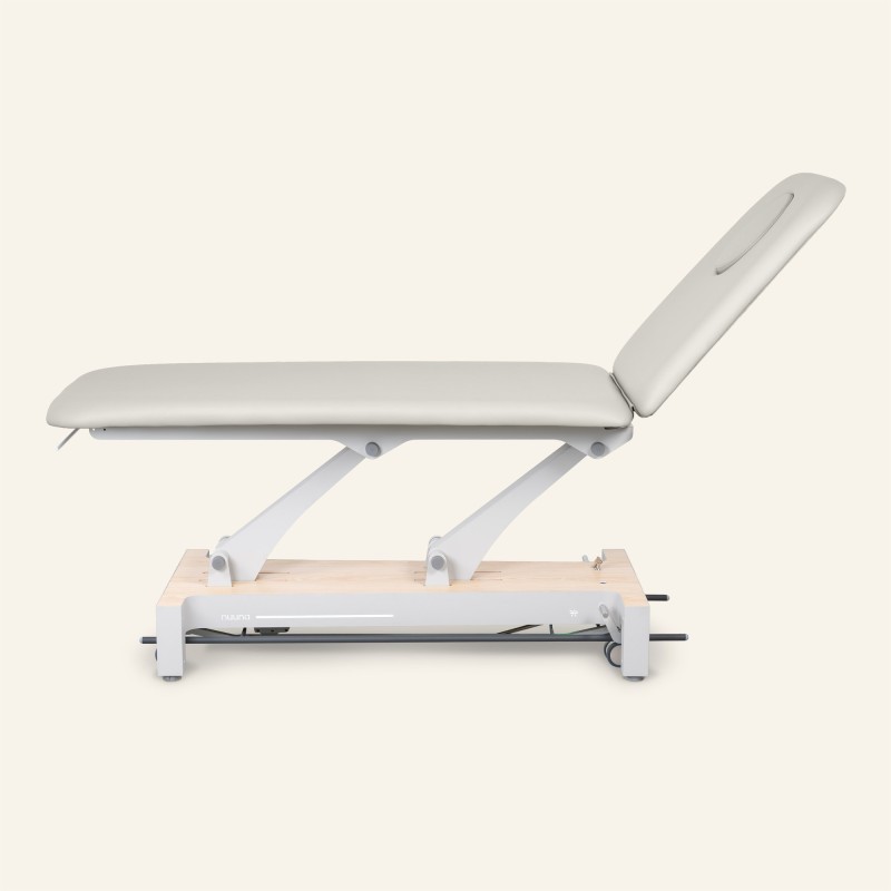Camilla eléctrica Nuuna 2L Physio Pro